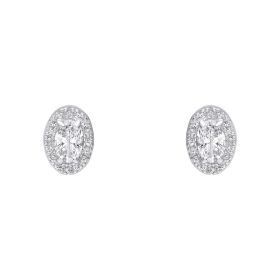 Oval Halo Stud Earrings