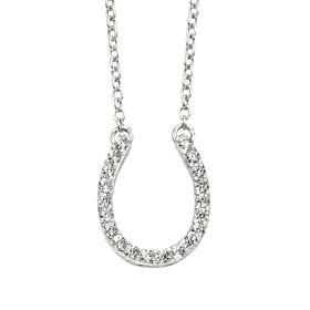 Horse Shoe Necklace with Cubic Zirconia 42-47cm