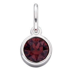 January Crystal Birthstone Charm